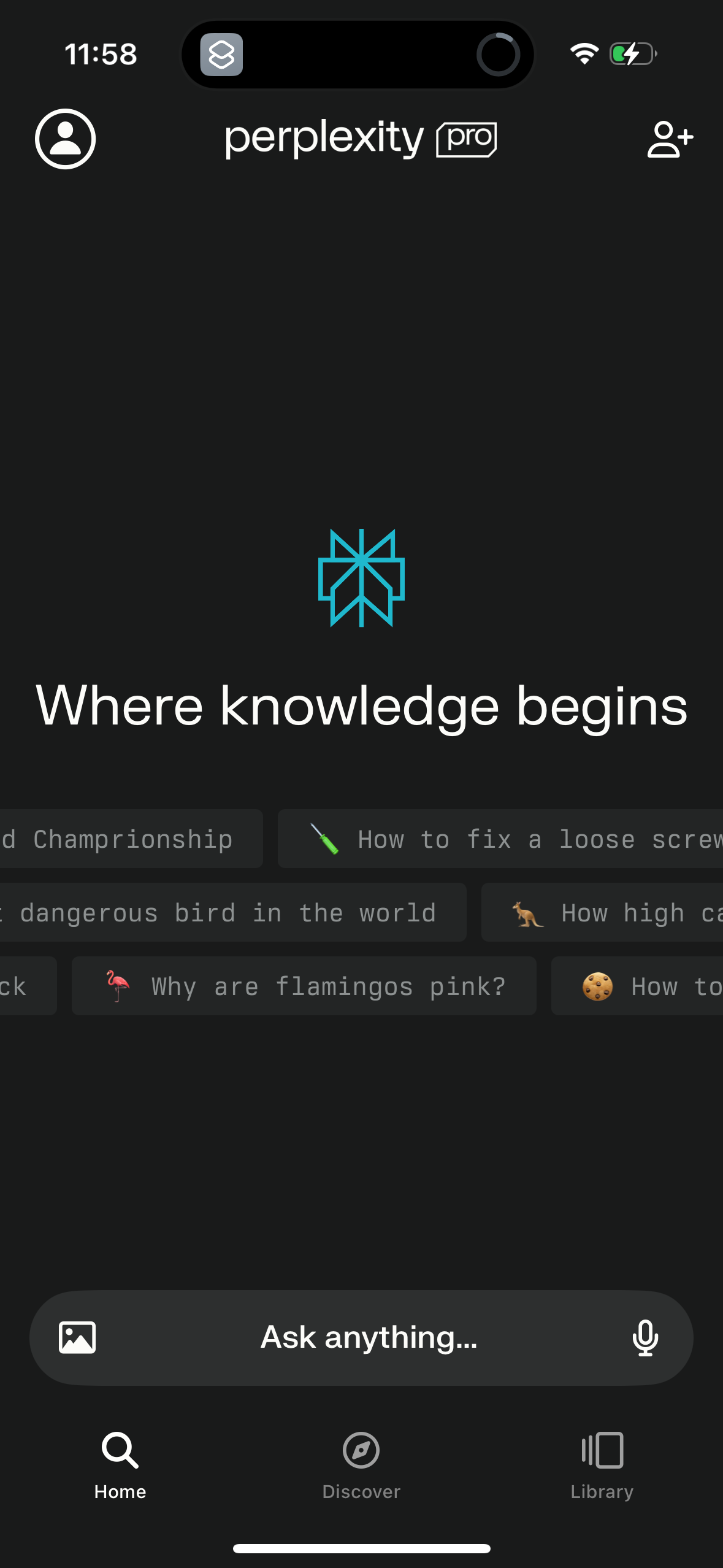 perplexity app screenshot 64